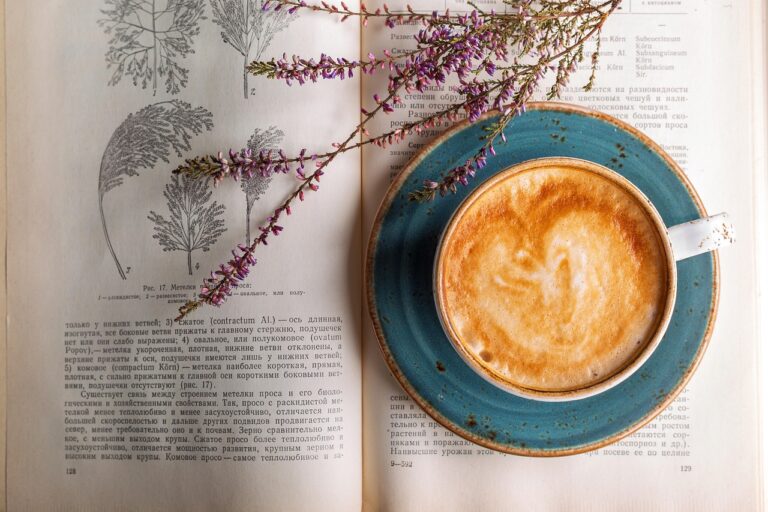 Chapter Book Review