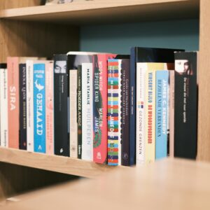 A well-organized bookshelf showcasing a variety of novels and books in a cozy indoor setting.