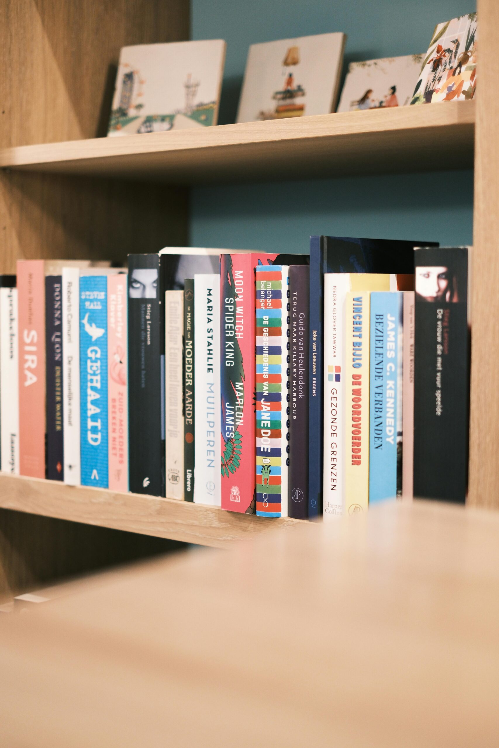 A well-organized bookshelf showcasing a variety of novels and books in a cozy indoor setting.